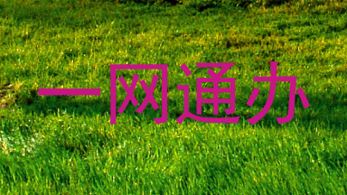 一网通办