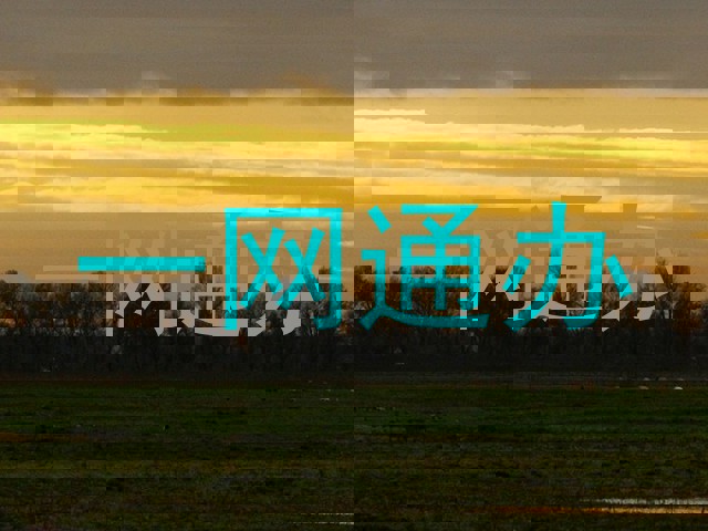 一网通办