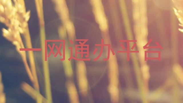 一网通办平台