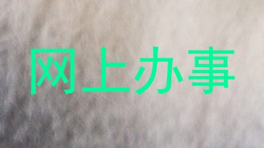 网上办事