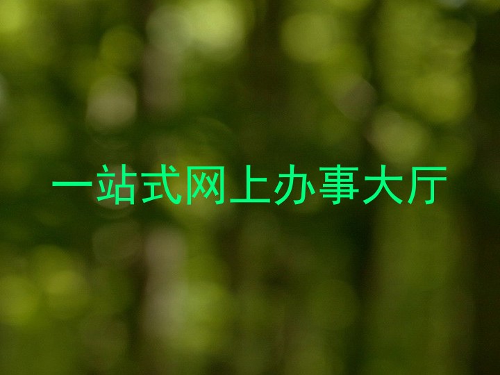 一站式网上办事大厅