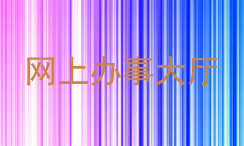 网上办事大厅