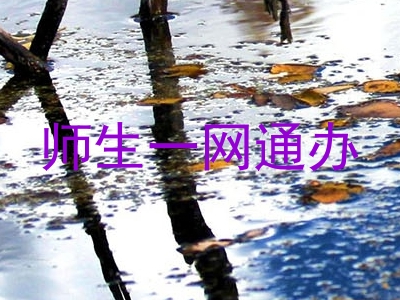师生一网通办