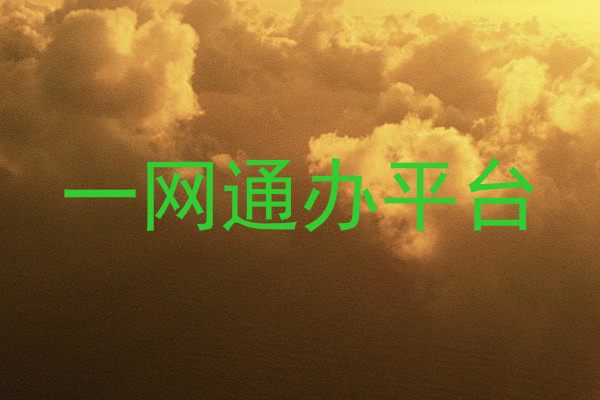 一网通办平台