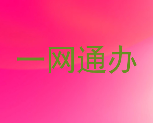 一网通办