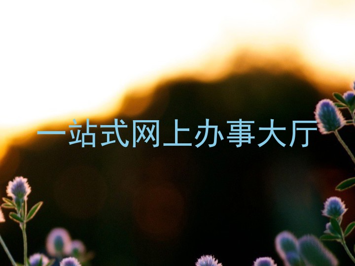 一站式网上办事大厅