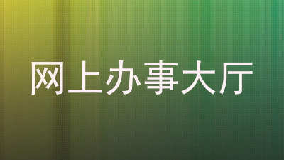 网上办事大厅