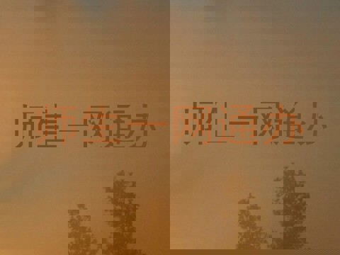 师生一网通办