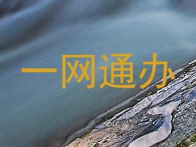一网通办