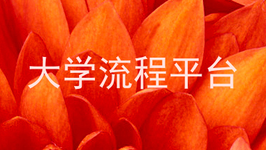 大学流程平台