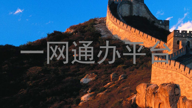 一网通办平台