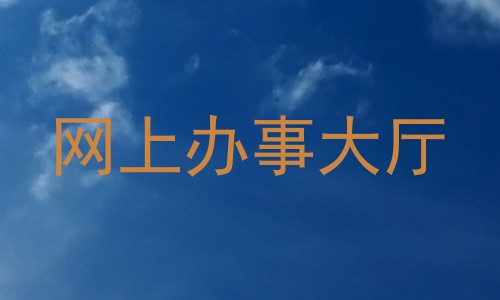 网上办事大厅