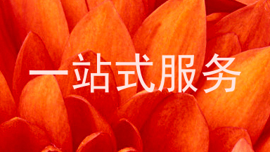 一站式服务