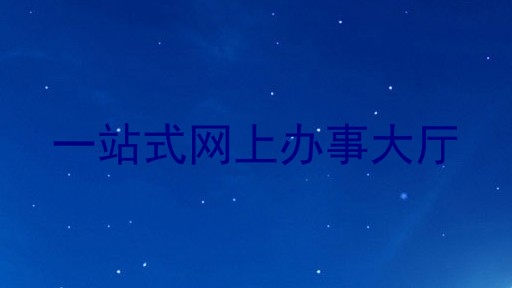 一站式网上办事大厅