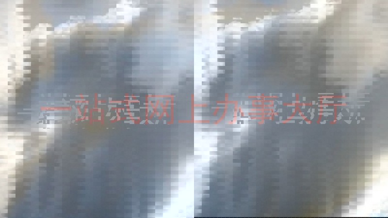 一站式网上办事大厅