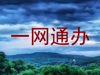 一网通办