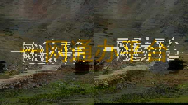 一网通办平台