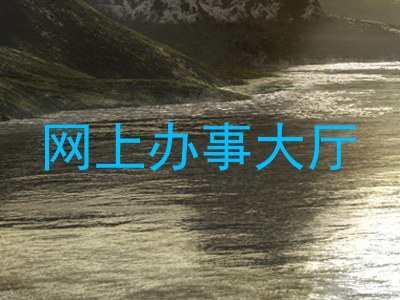 网上办事大厅