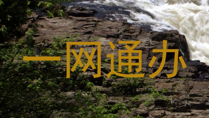 一网通办