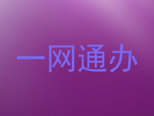 一网通办