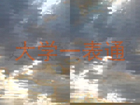 大学一表通