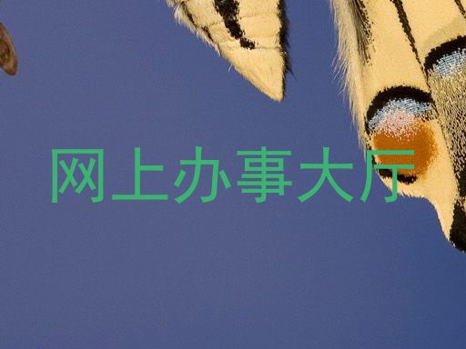 网上办事大厅