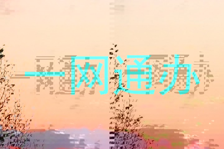 一网通办