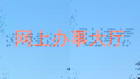网上办事大厅
