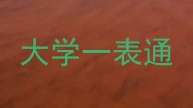 大学一表通