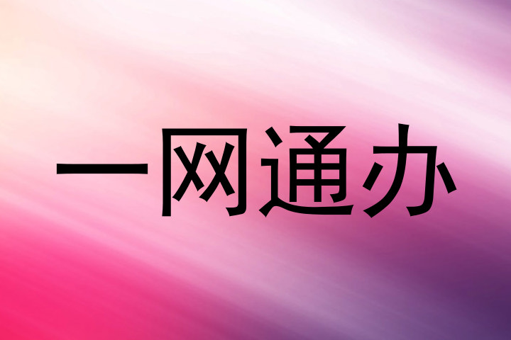 一网通办