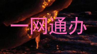 一网通办