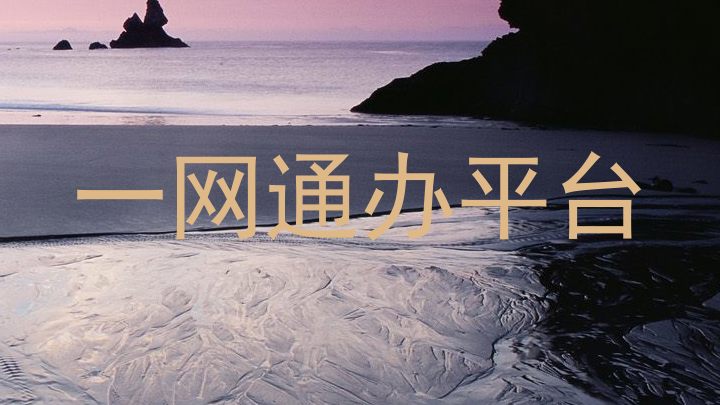 一网通办平台