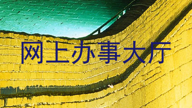 网上办事大厅