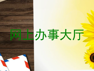 网上办事大厅