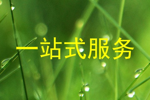 一站式服务