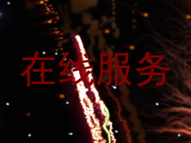 在线服务