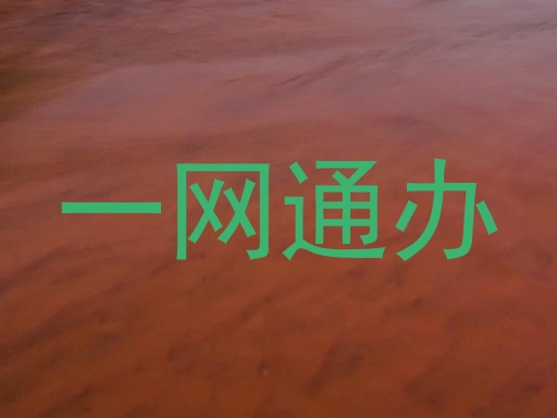 一网通办