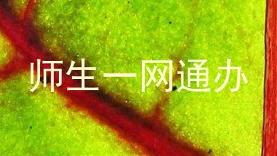 师生一网通办