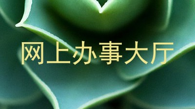网上办事大厅