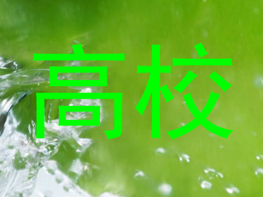 高校