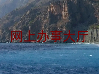 网上办事大厅