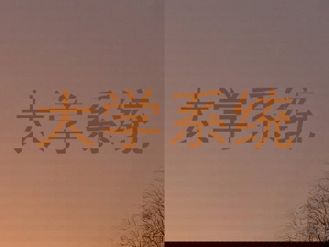 大学系统