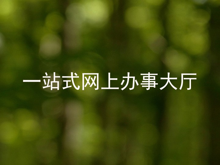 一站式网上办事大厅