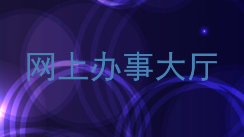 网上办事大厅
