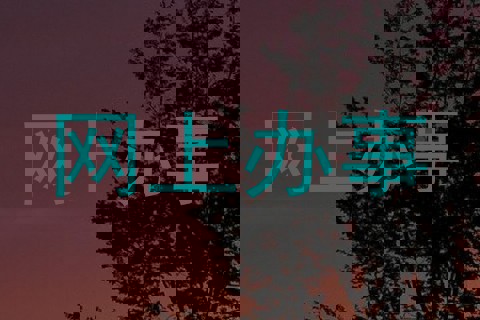 网上办事