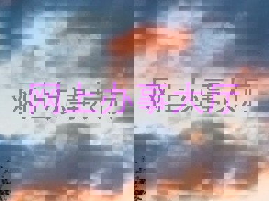 网上办事大厅