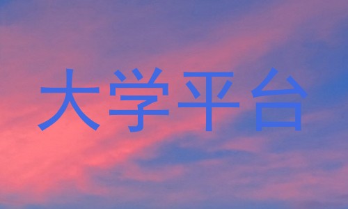 大学平台