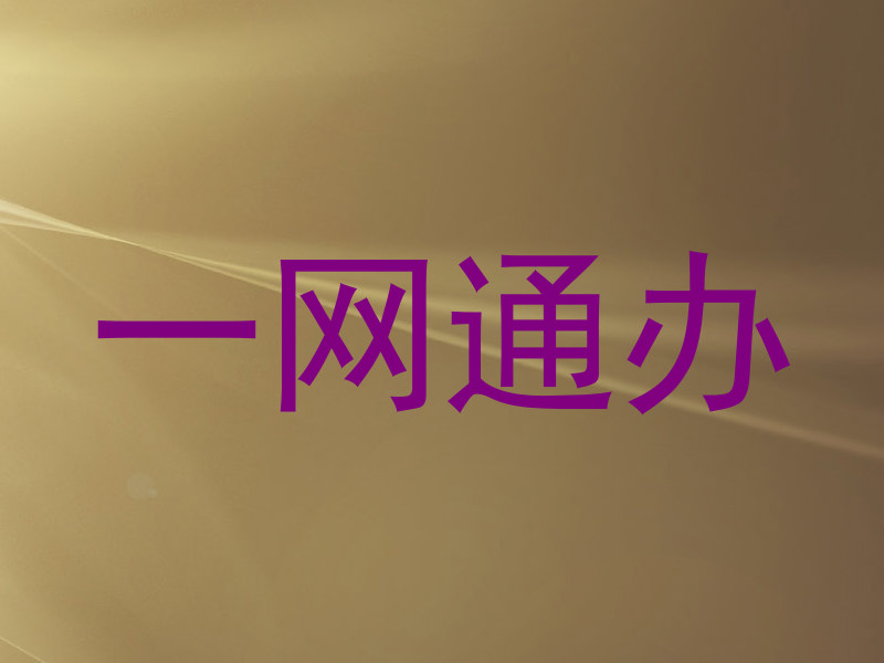一网通办
