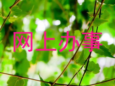 网上办事