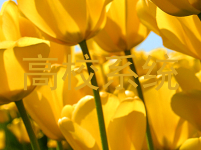 高校系统